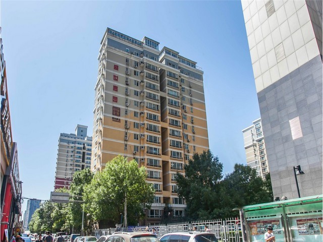 山东不锈钢扣腰带批发